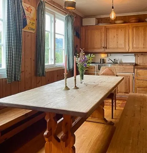 Semesterbostad Fantastic Charming By Tinnsjoen Austbygdi